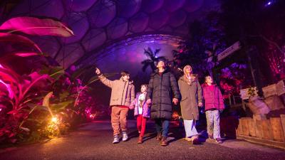 Family walking through the Christmas lights in the Eden Project's Rainforest
